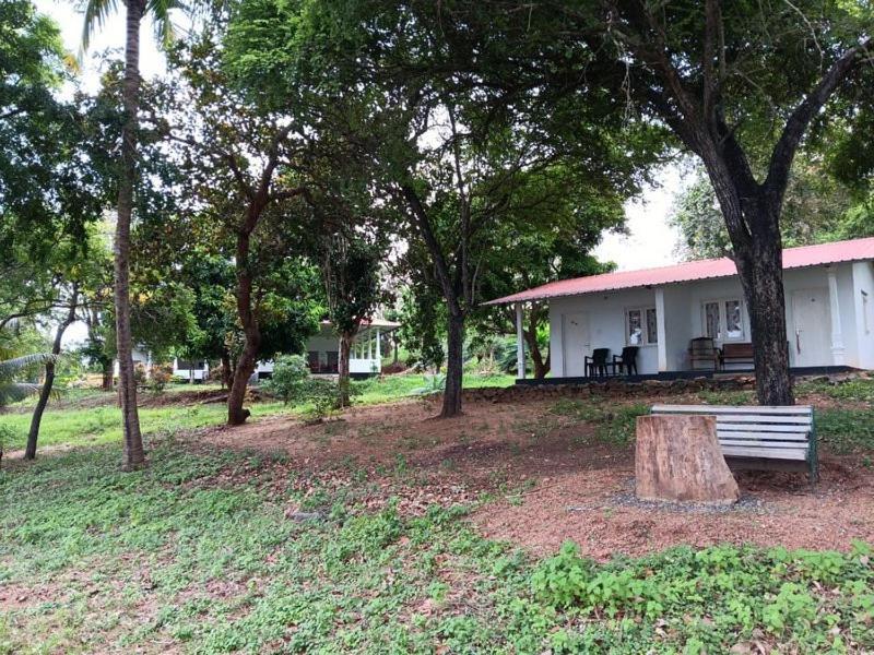 Aligama Cottage Talakolawela Esterno foto