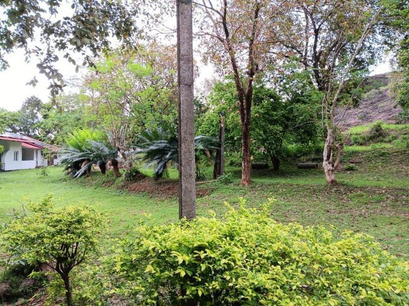 Aligama Cottage Talakolawela Esterno foto