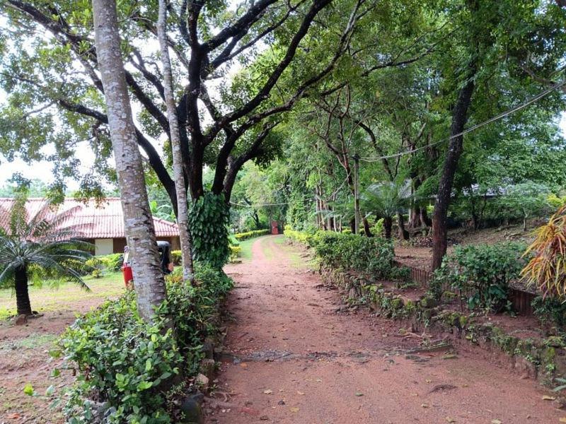 Aligama Cottage Talakolawela Esterno foto